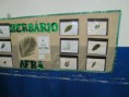 /album/feira-interdisciplinar-afra-2012/img-1330-medium-jpg/